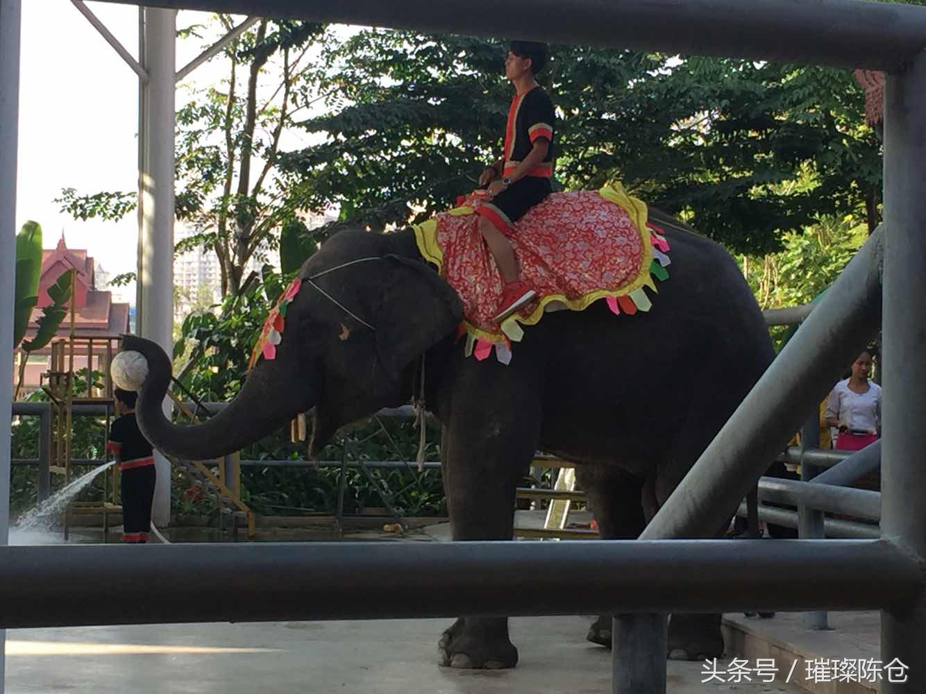 西双版纳曼听公园傣王花园,西双版纳的傣族园和曼听公园