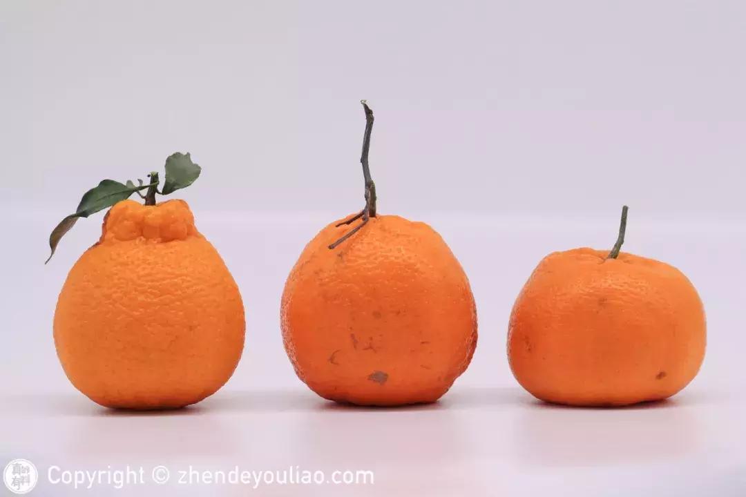 买过的丑柑,正宗的丑柑