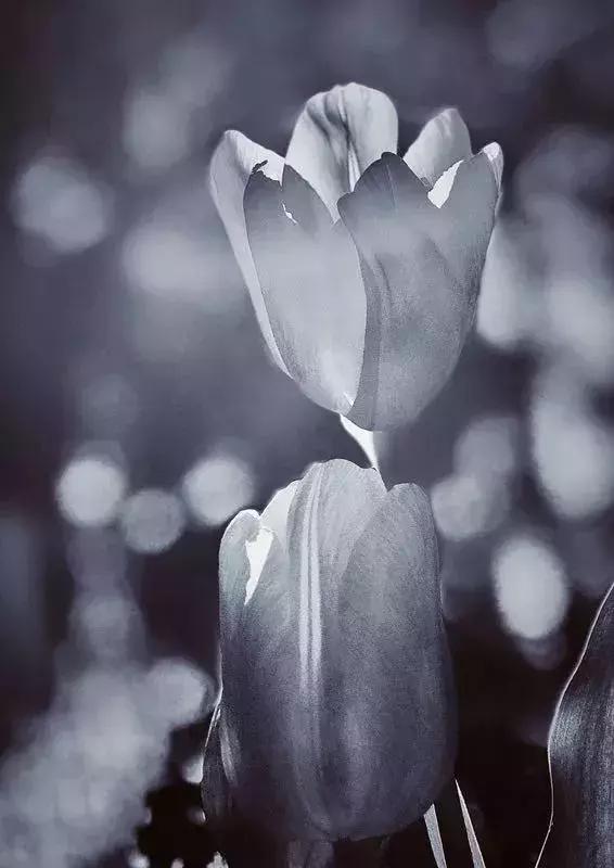 手机摄影作品周末篇赏析,手机拍100个高逼格摄影作品