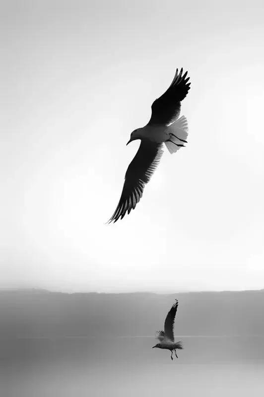 手机摄影作品周末篇赏析,手机拍100个高逼格摄影作品