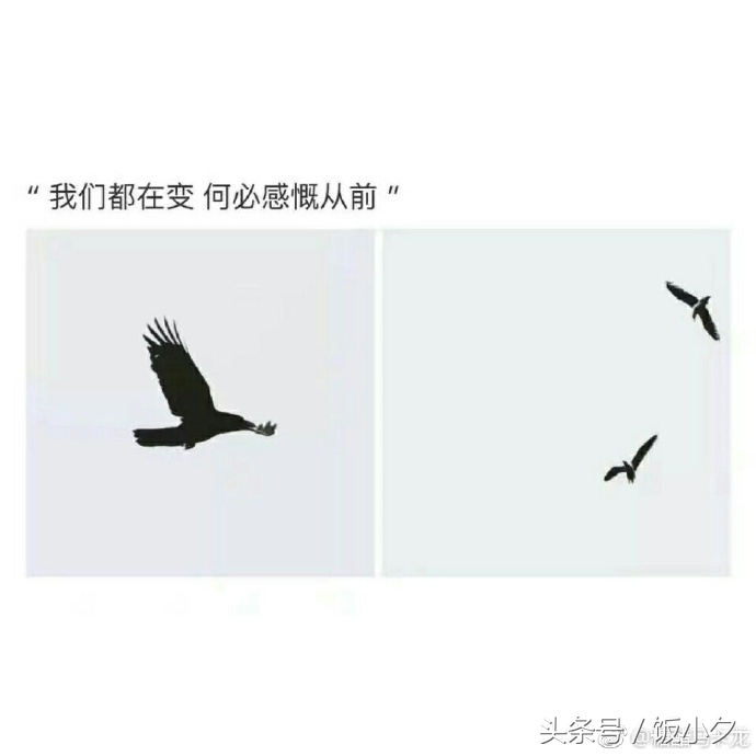 我爱你而你刚好也爱着我文案,我爱你恰好你也爱我完全版