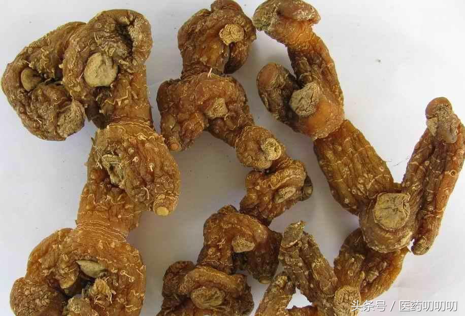 脾胃虚弱能够吃黄精,黄精治疗肺虚咳嗽