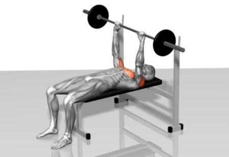 卧推第二天胸肌和肩膀连接处疼,卧推后肩膀和胸肌连接处痛正常吗