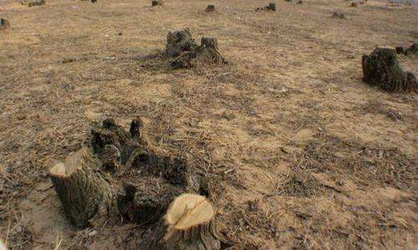 珍重生命从保护自然环境做起