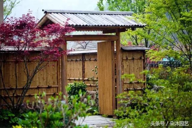 院子里的树有风水么,院子里长哪些树风水好一点