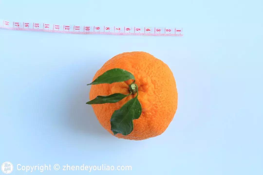 买过的丑柑,正宗的丑柑