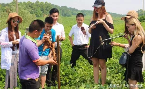 直播卖农产品最实用的5个技巧,直播农产品选品的方法和技巧