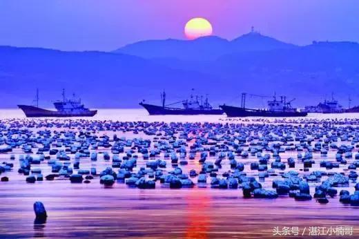 湛江合适养老的景点,湛江十大最合适居住的城市