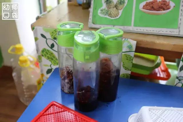 幼儿园春天植物角摆台,幼儿园植物角创意布置图片大全集