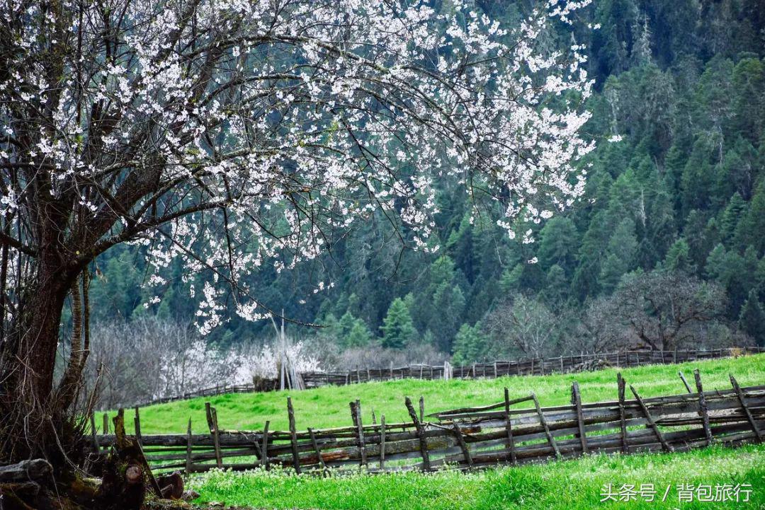 最合适和闺蜜一起去的国家,合适闺蜜去旅行的地方推荐