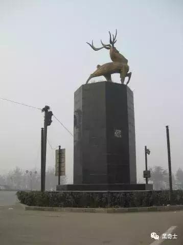 95后羊毛*党**小Q：撸毛年入十万利润超过卖手机