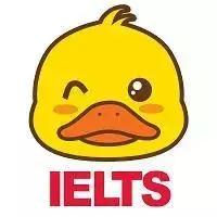 雅思口语程度副词,雅思口语能够说中文名词吗