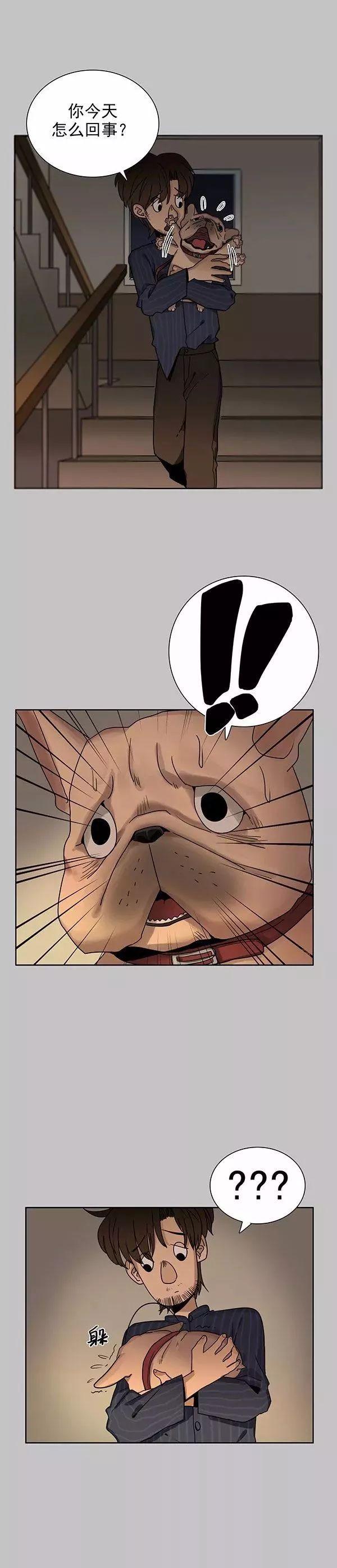 巴哥犬铲屎官漫画,铲屎官的搞笑漫画