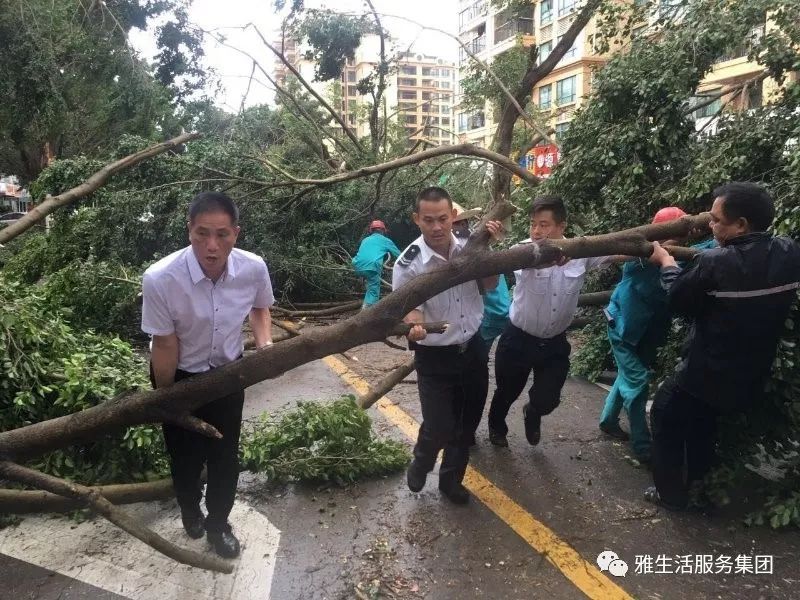 学习||雅居乐物业标杆项目亮点（100张大图解析高品质物业）