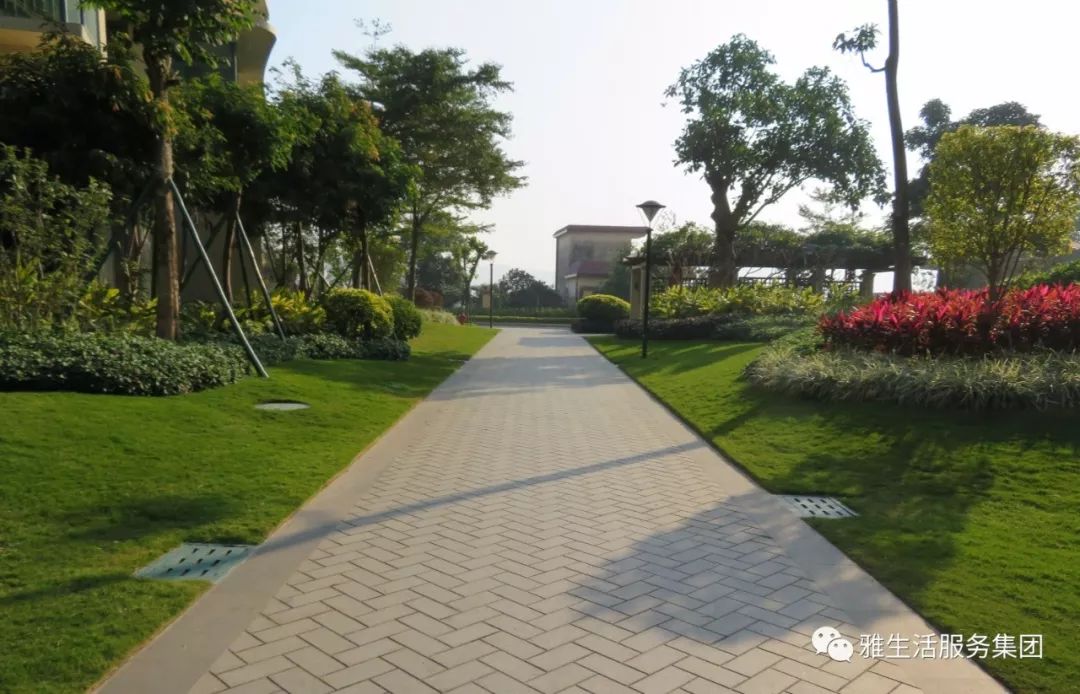 学习||雅居乐物业标杆项目亮点（100张大图解析高品质物业）
