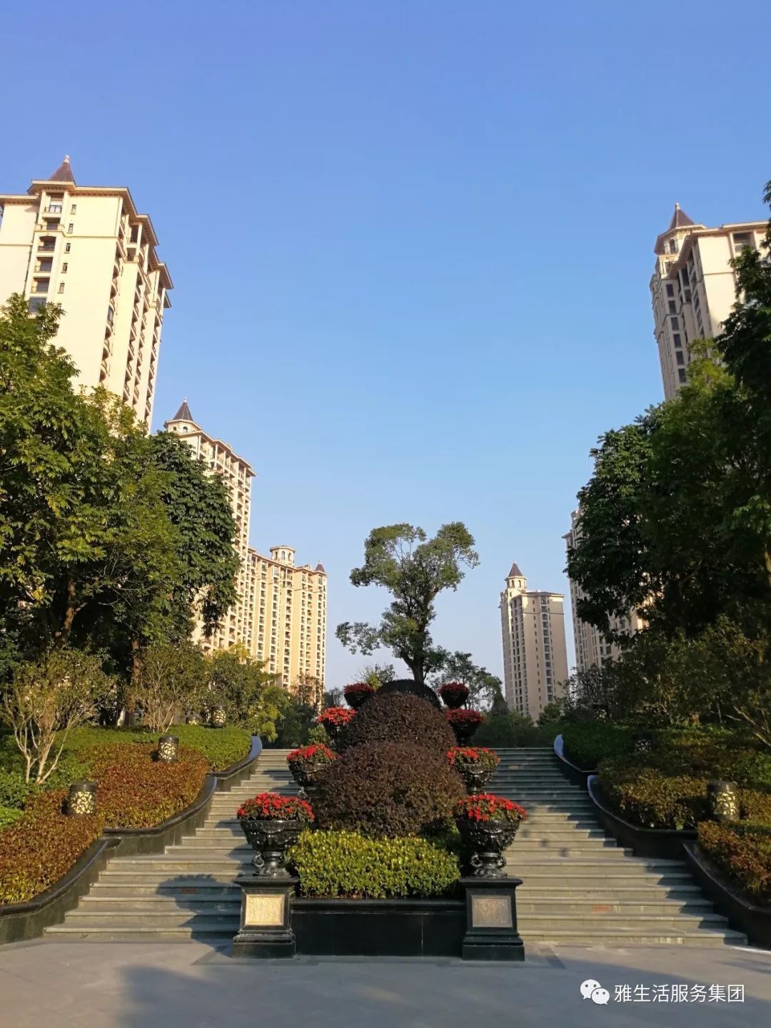 学习||雅居乐物业标杆项目亮点（100张大图解析高品质物业）