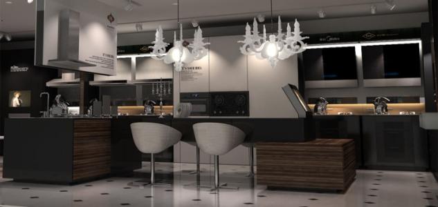 厨电知名品牌有哪些牌子,厨电十大品牌排行榜有哪些