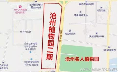 沧州二期植物园,沧州植物园有什么规划