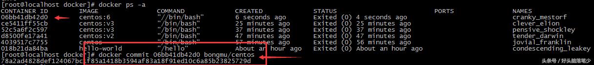 docker教程windows,docker网络模式详解