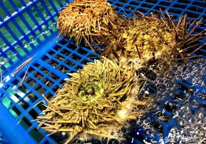 武汉最值得人多去的餐厅,武汉最会吃的人