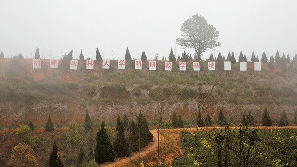 铁观音大师刘金龙,安溪铁观音大师刘金龙个人简介