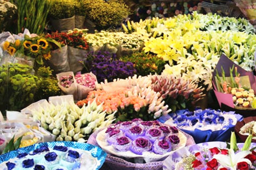 重庆南岸区开花店能够在哪里进货,优质鲜花批发需要多少钱