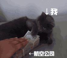 留学生特惠机票怎么买,国内留学如何购买机票