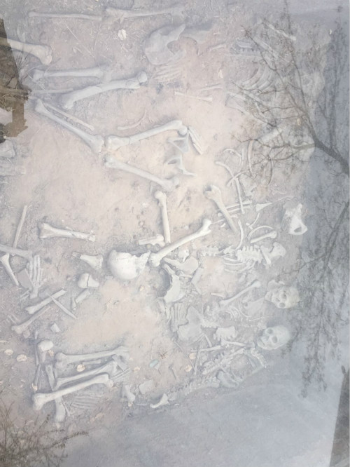 真正的古代有多恐怖,传说中的骷髅居然复活了