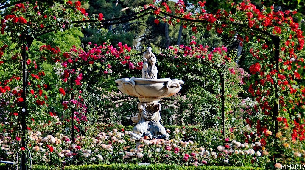 马德里怎么坐公交,马德里如何坐地铁