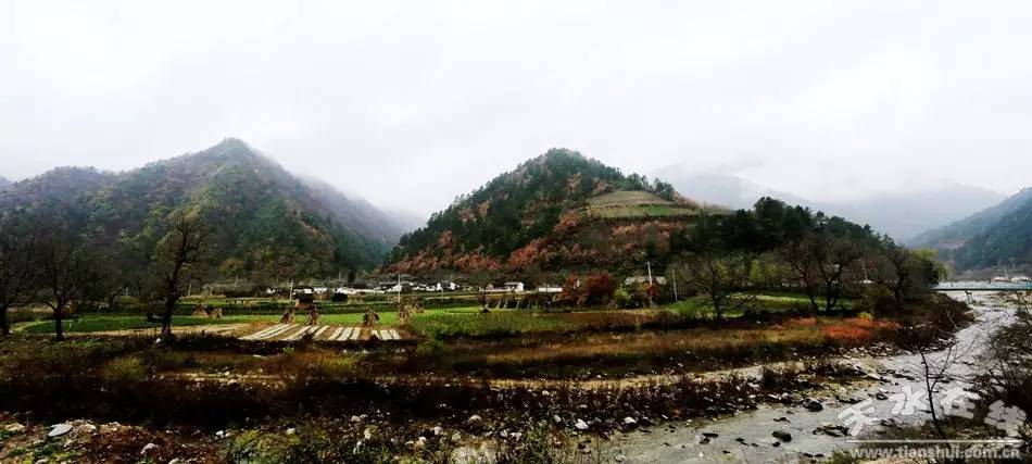 天水市国家级美丽乡村建设,天水市最美乡村名录图片