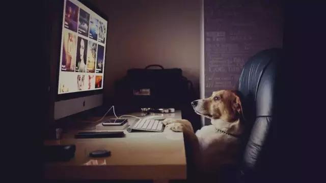 欢乐颂是一部什么剧,欢乐颂发展前景