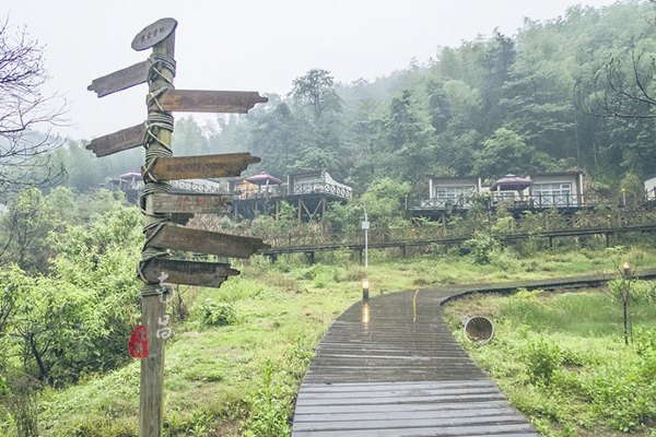 养在深闺里无人知,养在深闺无人识全文