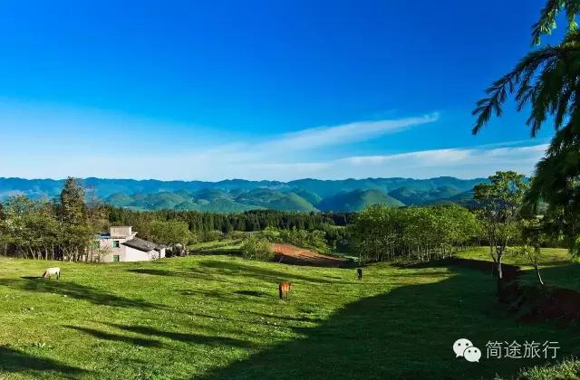 重庆生物地理答案,重庆水土生物研究