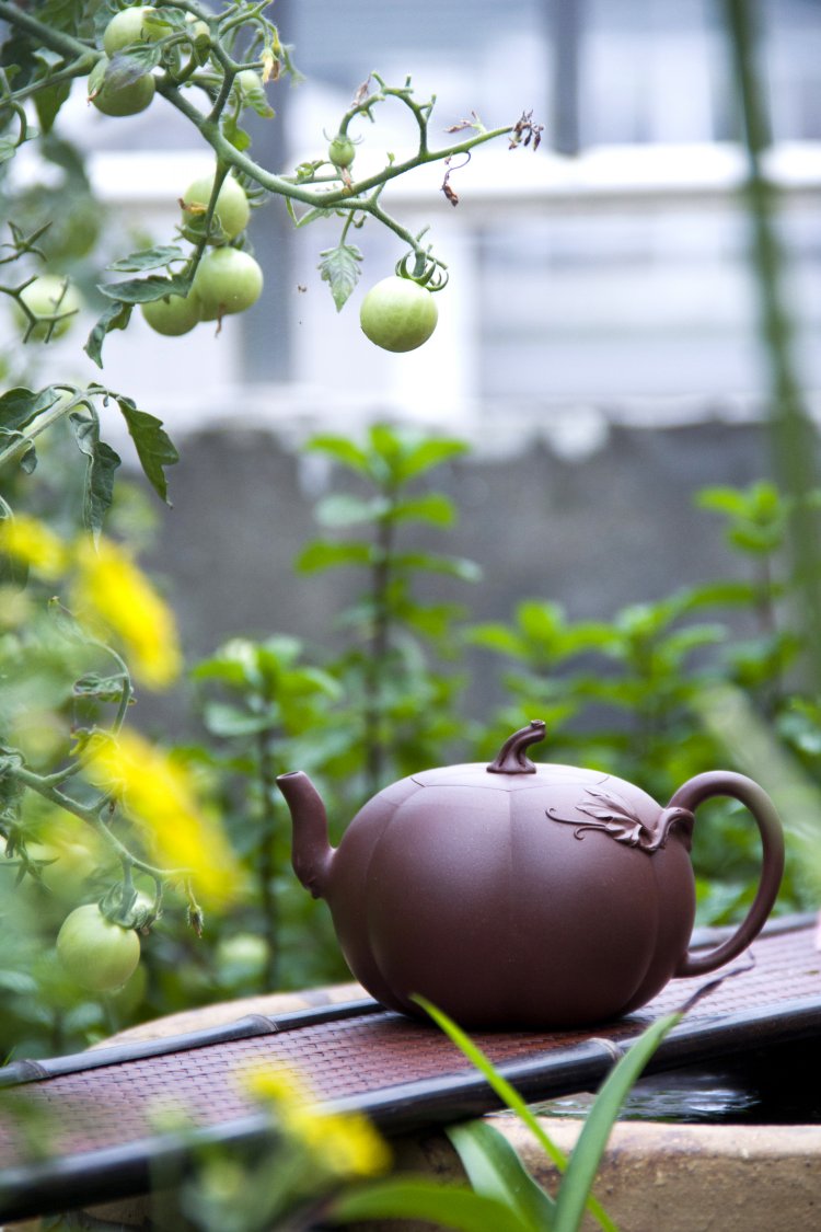 为啥紫砂壶是黄色的,为什么紫砂壶有绿色的呀