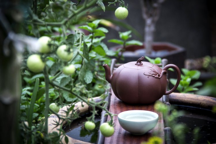 为啥紫砂壶是黄色的,为什么紫砂壶有绿色的呀