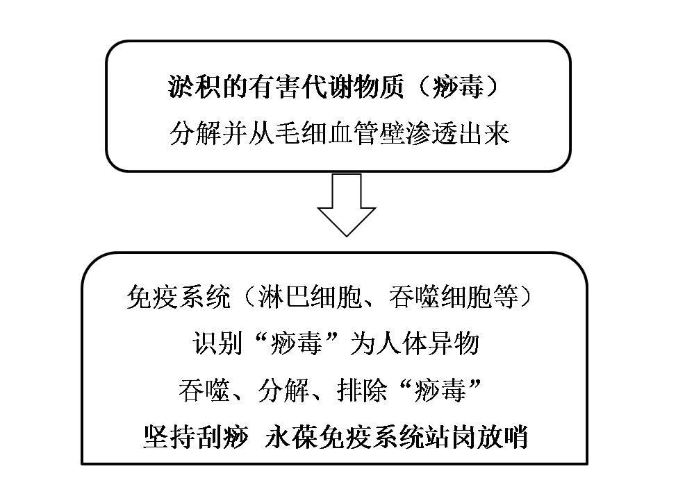 木易刮痧泥灸,木易刮痧