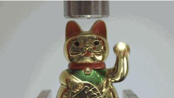 10个少数人才知道的冷知识,11个会上网的人必须知道的冷知识