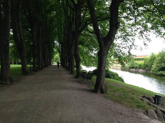 施华洛世奇白天鹅10年,马尔默全集完全版