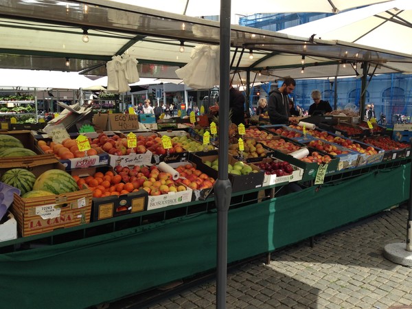 施华洛世奇白天鹅10年,马尔默全集完全版