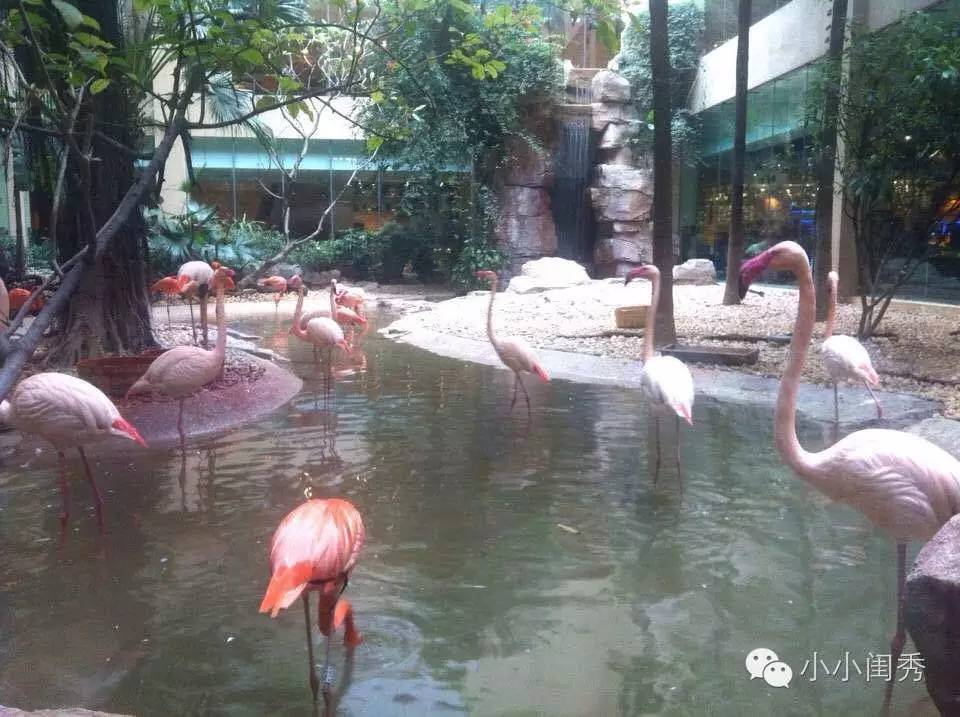 带孩子广州长隆旅游攻略,长隆动物乐园多长时间能够逛完