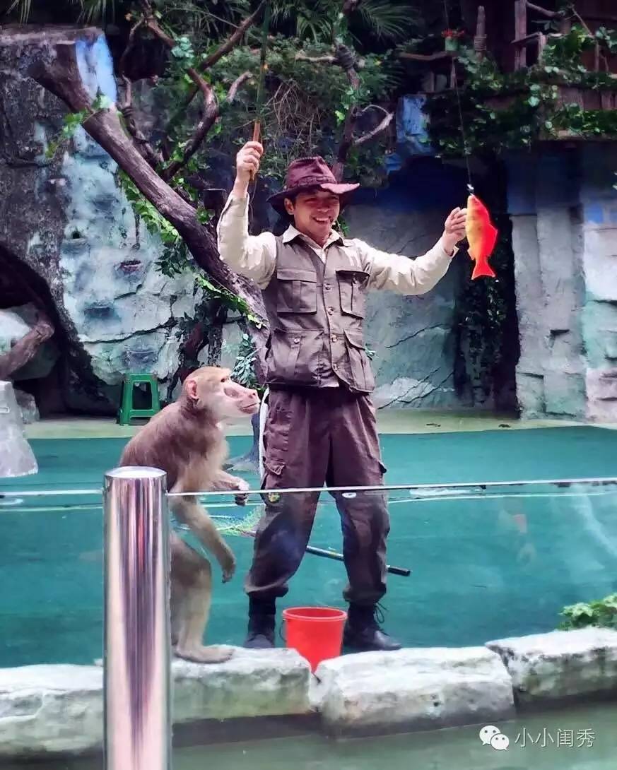 带孩子广州长隆旅游攻略,长隆动物乐园多长时间能够逛完