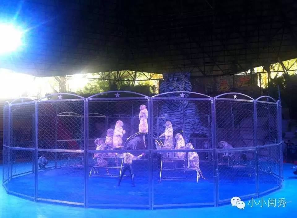 带孩子广州长隆旅游攻略,长隆动物乐园多长时间能够逛完