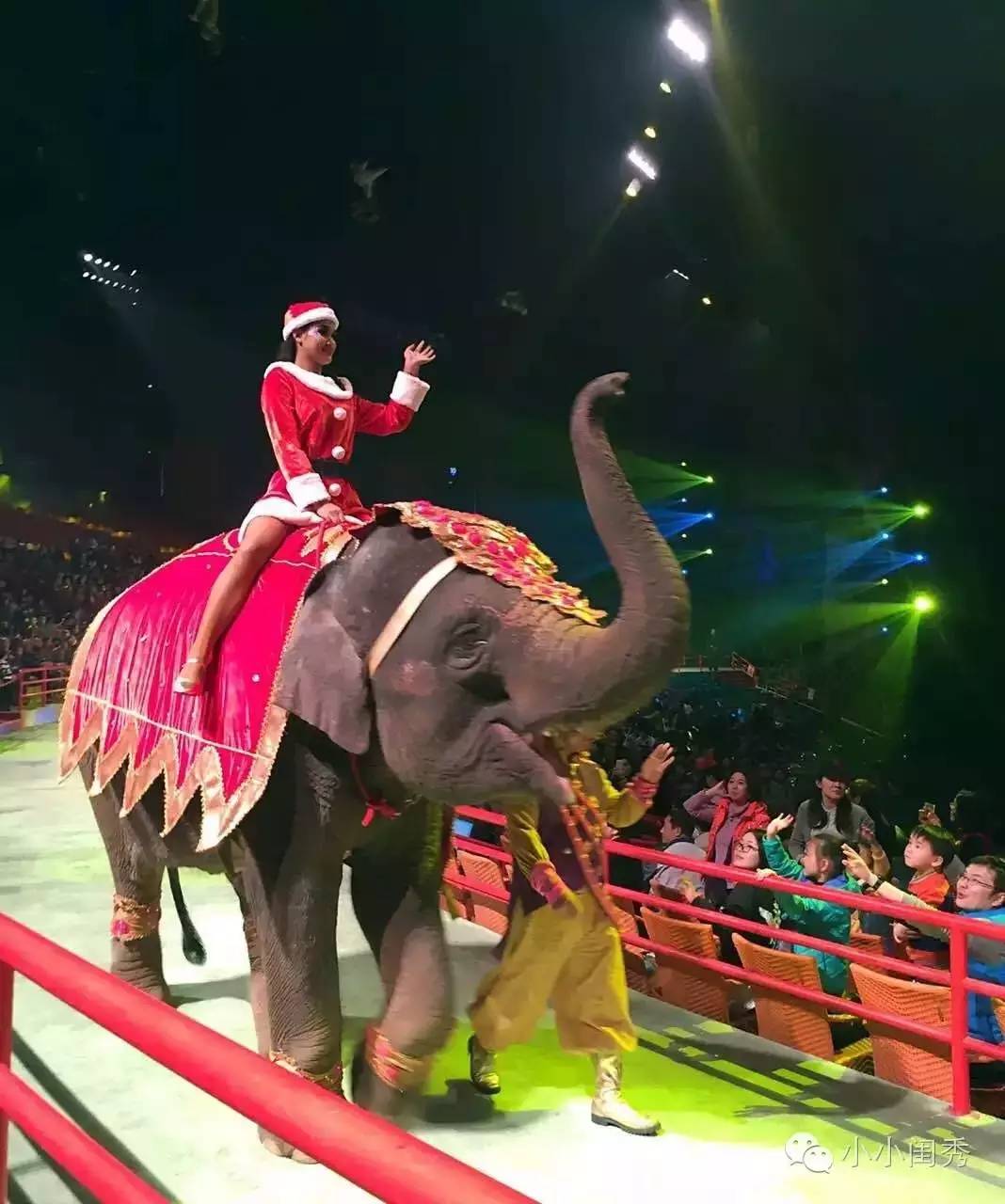 带孩子广州长隆旅游攻略,长隆动物乐园多长时间能够逛完