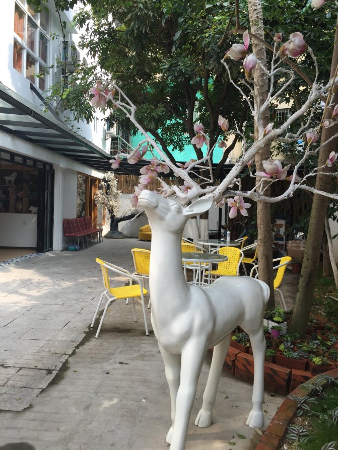 鼓浪屿自驾游全攻略,厦门鼓浪屿登岛全攻略