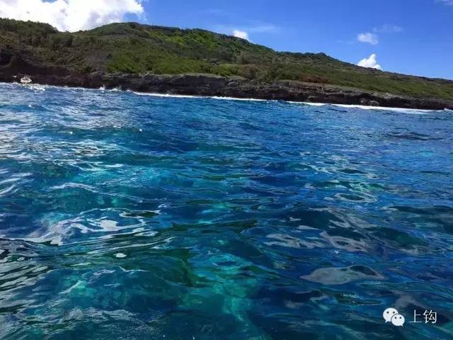 在荒蛮的世界尽头追猎“怪物”