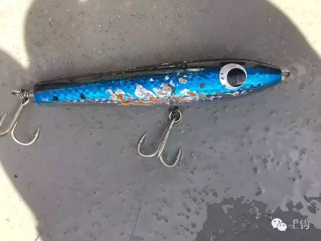 在荒蛮的世界尽头追猎“怪物”