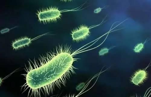 汽车智能传感器目标识别,汽车智能传感器检测