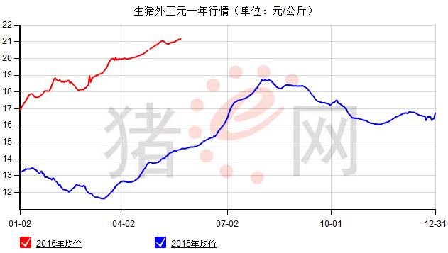 吃狗肉的人养狗,吃狗肉的人越来越多