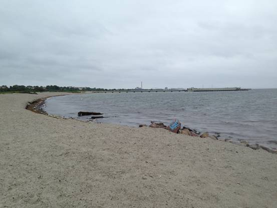 施华洛世奇白天鹅10年,马尔默全集完全版