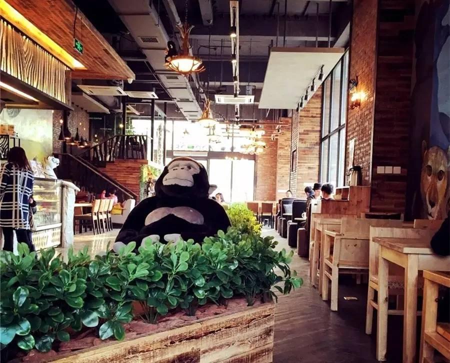 合肥合适下雨天去游玩的地方,合肥下雨去哪旅游最合适